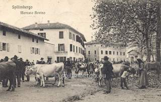 Spilimbergo, mercato Bovino 1905 